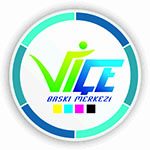 ViceBaskiMerkezi