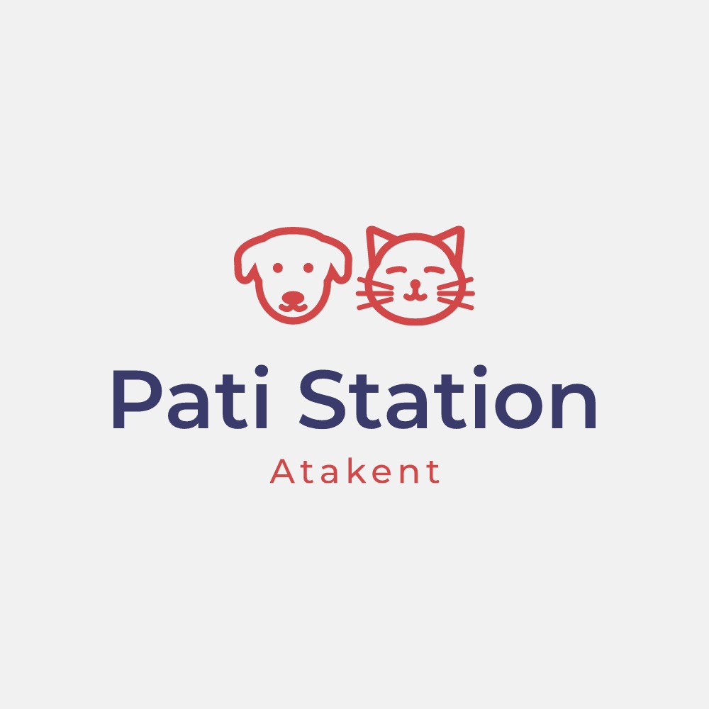 PatiStation