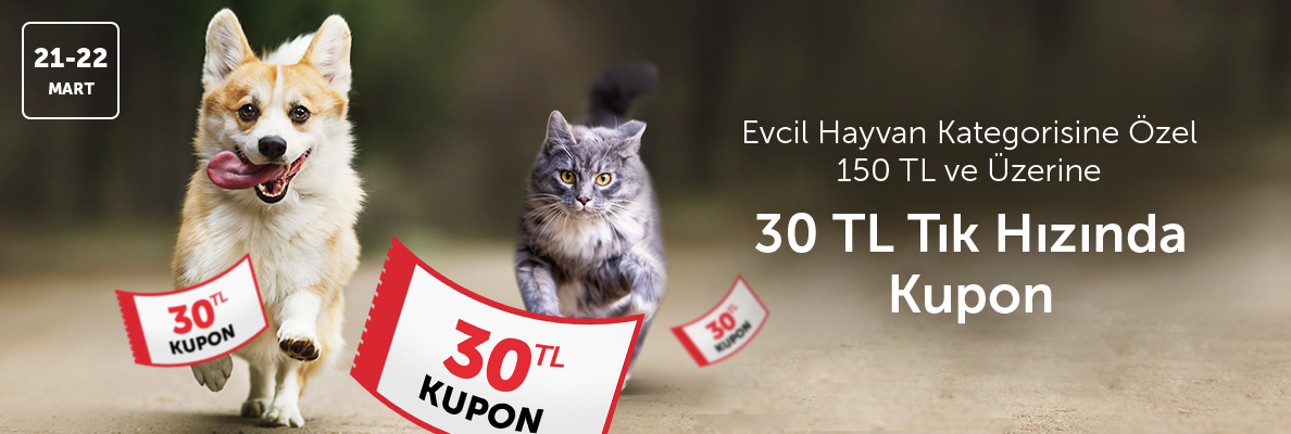 Evcil Hayvan