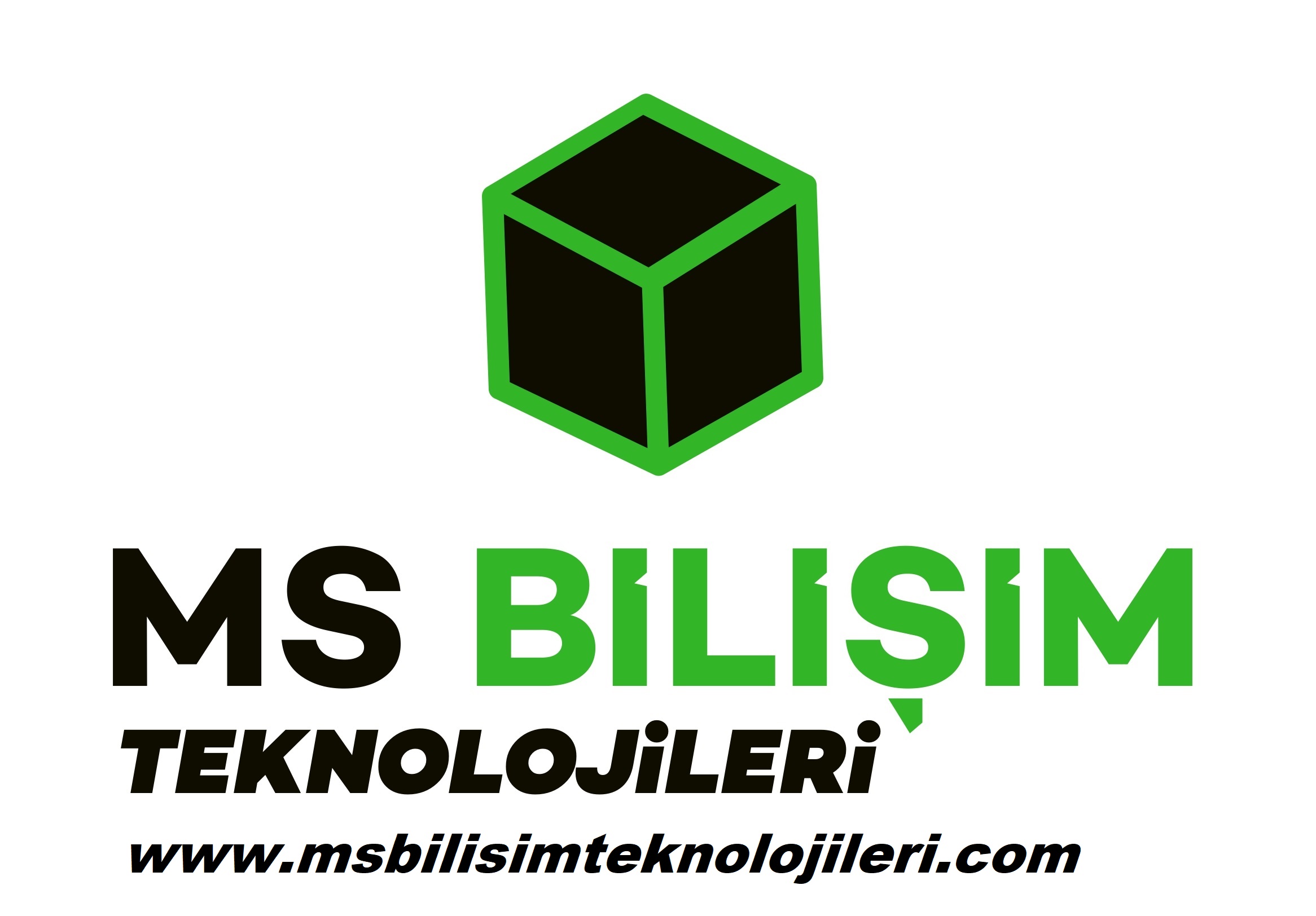 MsBilisim06