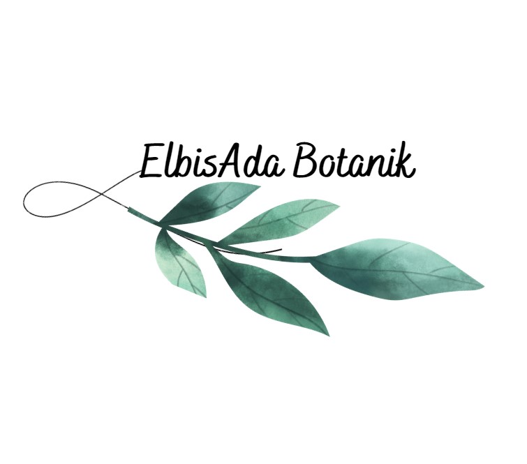 ElbisAda-Botanik