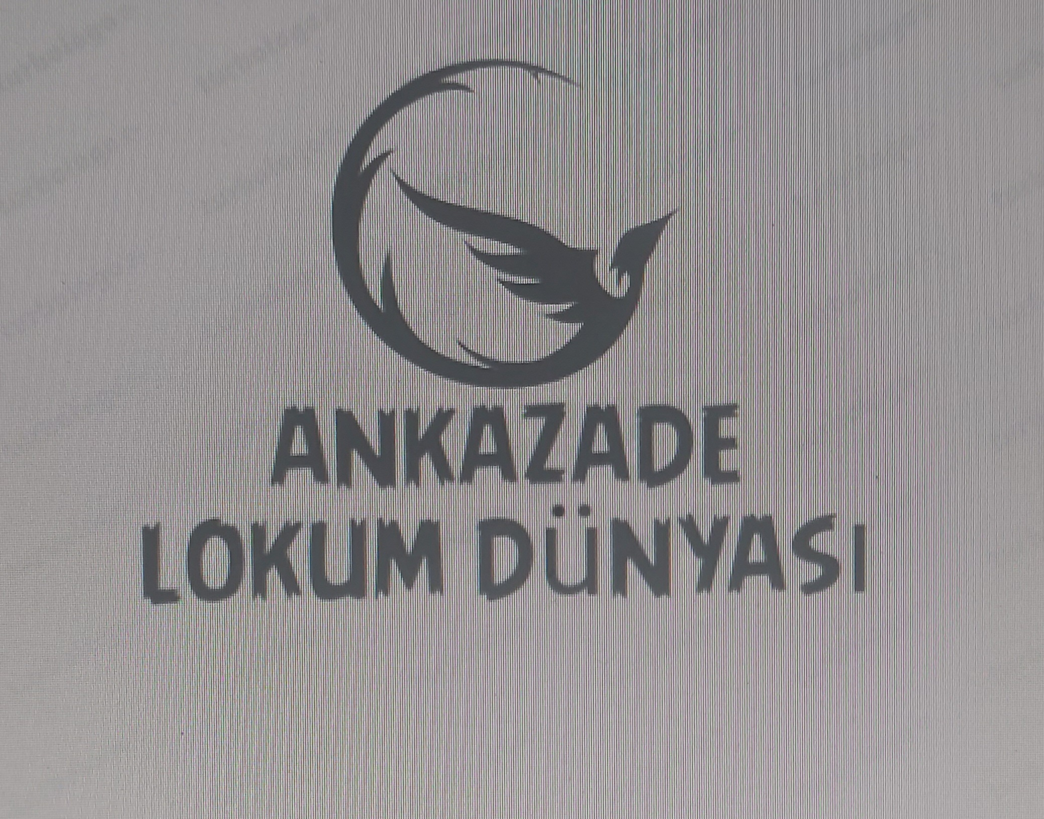 ankazadelokumdünyası