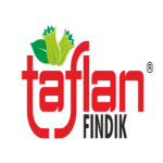 TaflanFındık