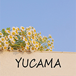 Yucama