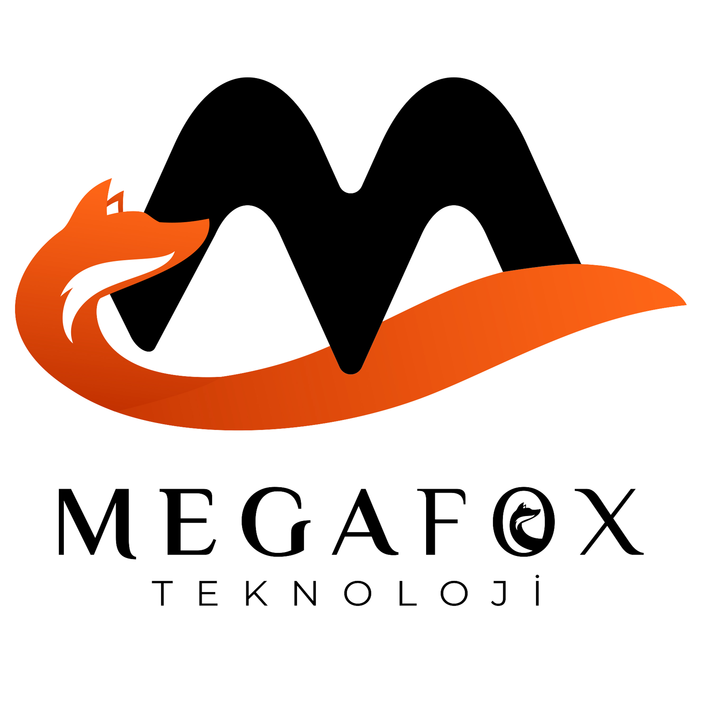 MegafoxTeknoloji