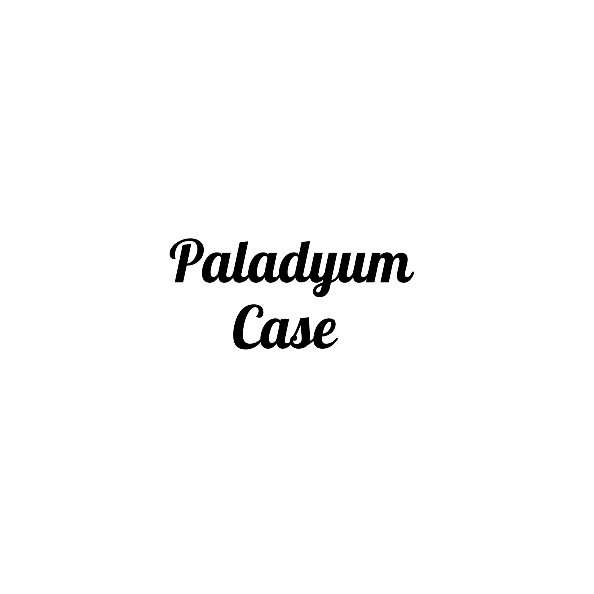 PaladyumCase