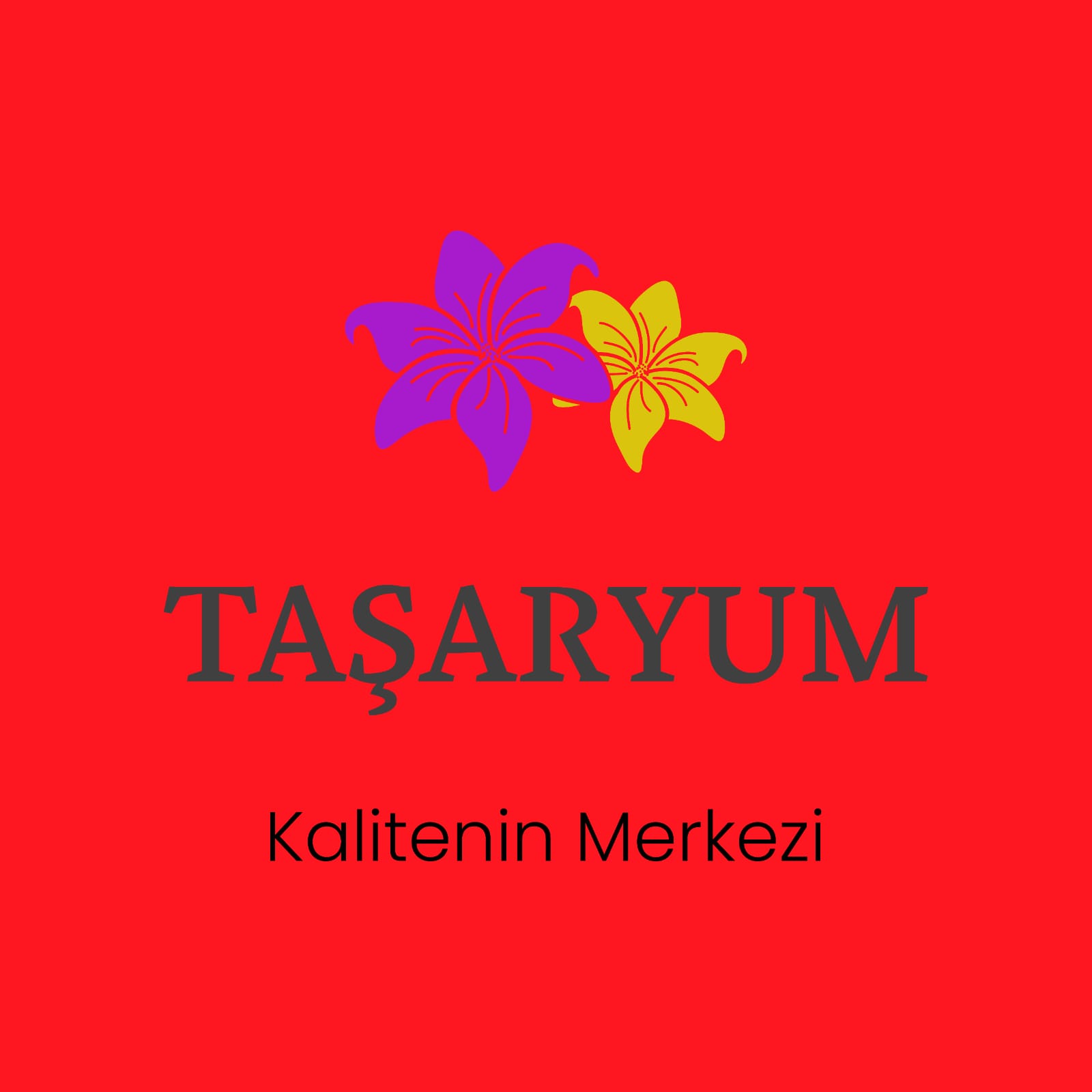 TAŞARYUMM