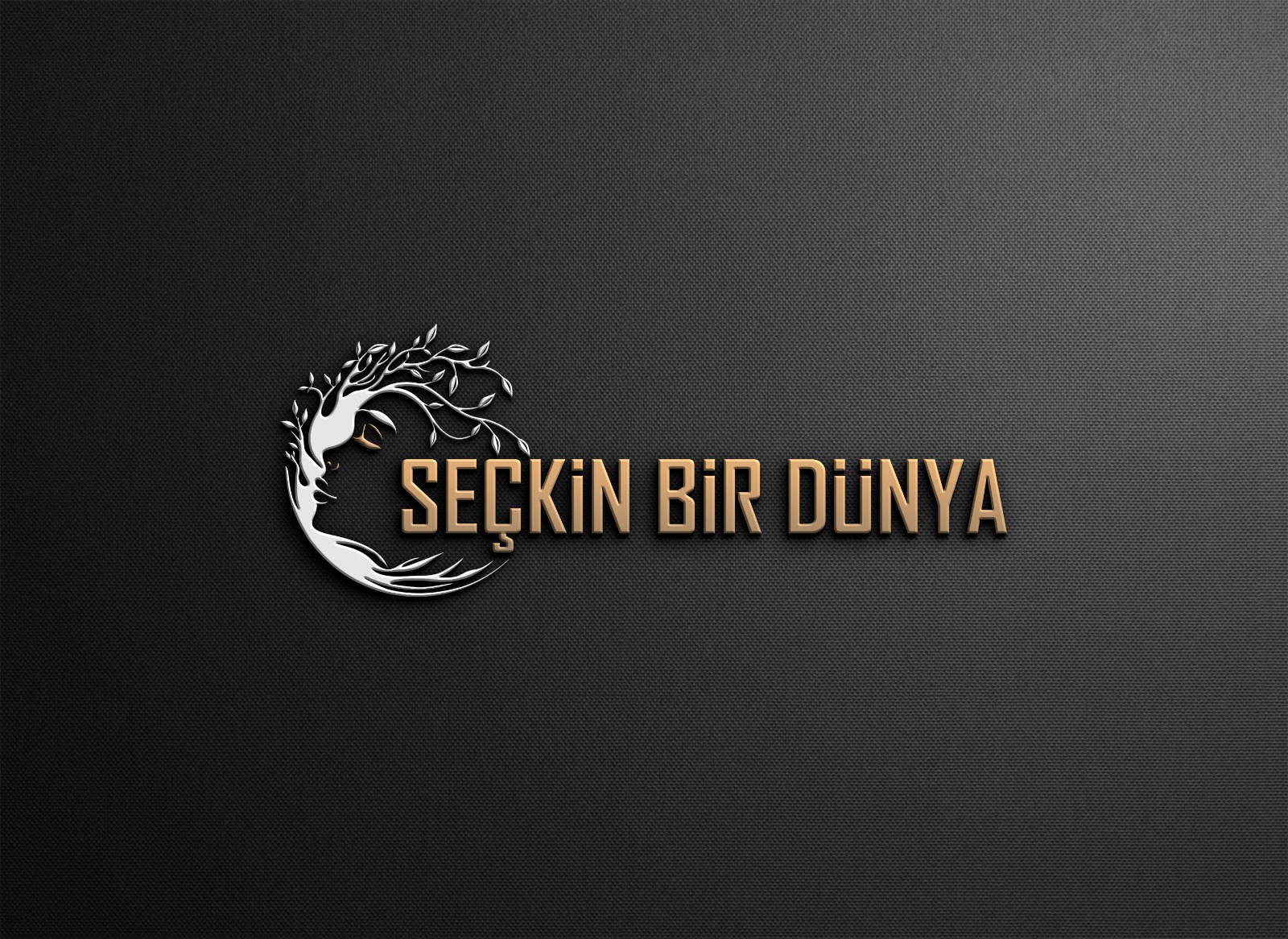 SECKİNBİRDUNYA