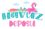 HavuzDeposu