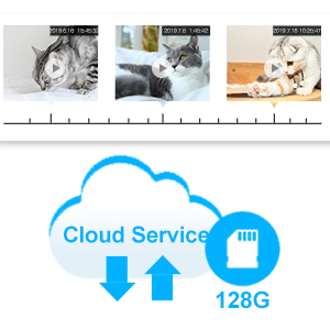 VStarcam kedi kamerası evcil hayvan kamerası