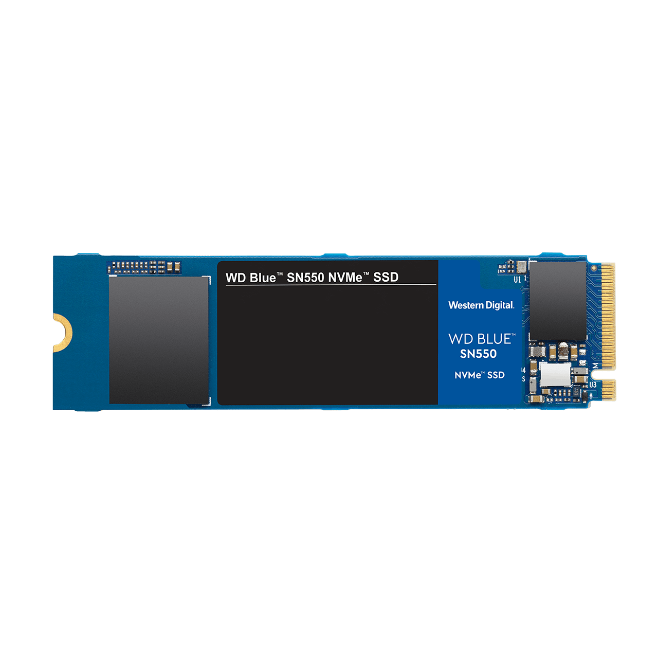 WD Blue SN550 WDS100T2B0C 1 TB M.2 SSD