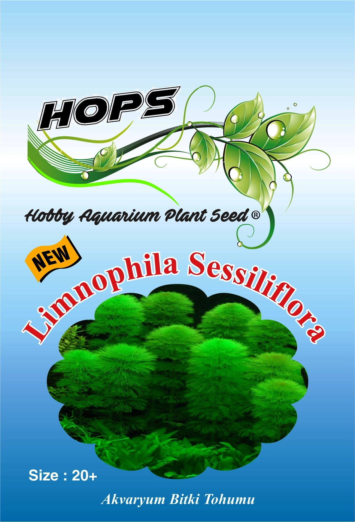 HOPS  Limnophila Sessiliflora Akvaryum Bitkisi 20+Üzeri/Adet