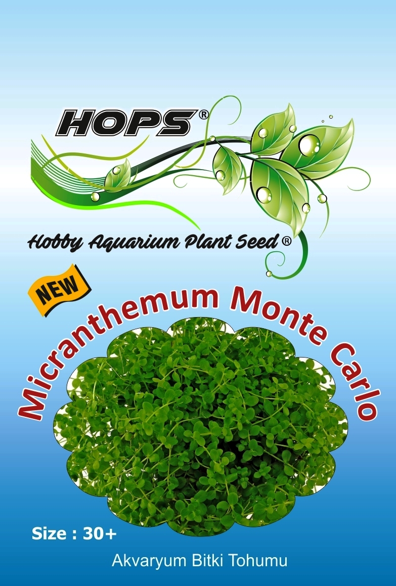 HOPS Micranthemum Monte Carlo Akvaryum Bitki Tohumu 30+ Ad/Üzeri