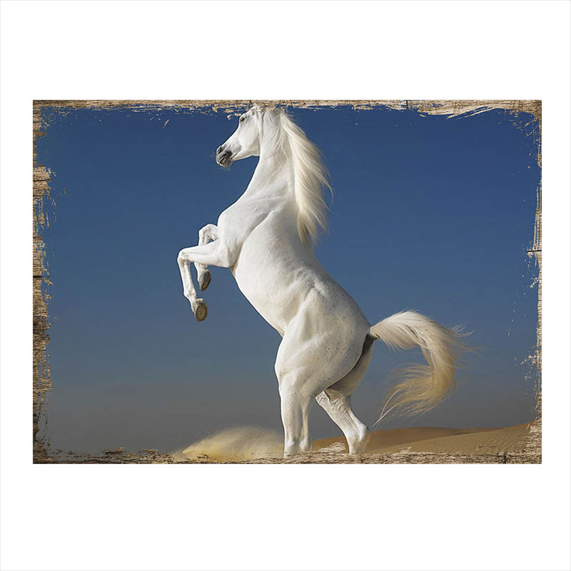 Ahşap Tablo Beyaz At  Beyaz At  Kapak Kılıf 