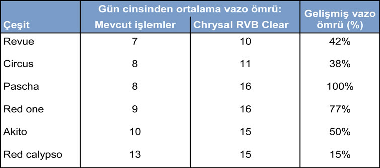 Chrysal RVB Clear Intensive Tablo