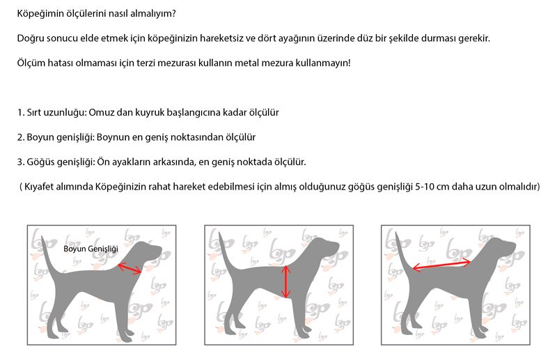 Belden Kopek Tasmasi Maestro 2 0 Fiyatlari Ve Ozellikleri