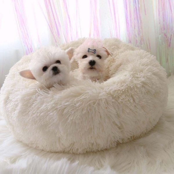 Beyaz Yumuşak Peluş Kedi yatağı - Köpek yatağı minder
