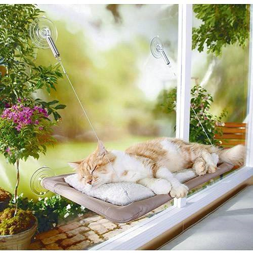 Ev Ofis Tipi Cama Yapışan Yetişkin Kedi Yatağı Vantuzlu Yatak Fiyatları