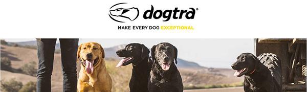 dogtra köpek eğitim tasması