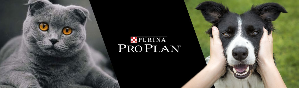 prapazar.com pazaryeri ideasoft entegrasyonu