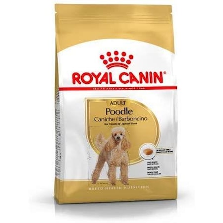 Royal Canin Adult Poodle Küçük Irk Yetişkin Köpek Maması 3 KG