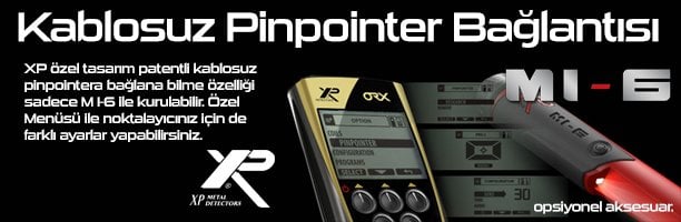 xp-mı-6-pipointer