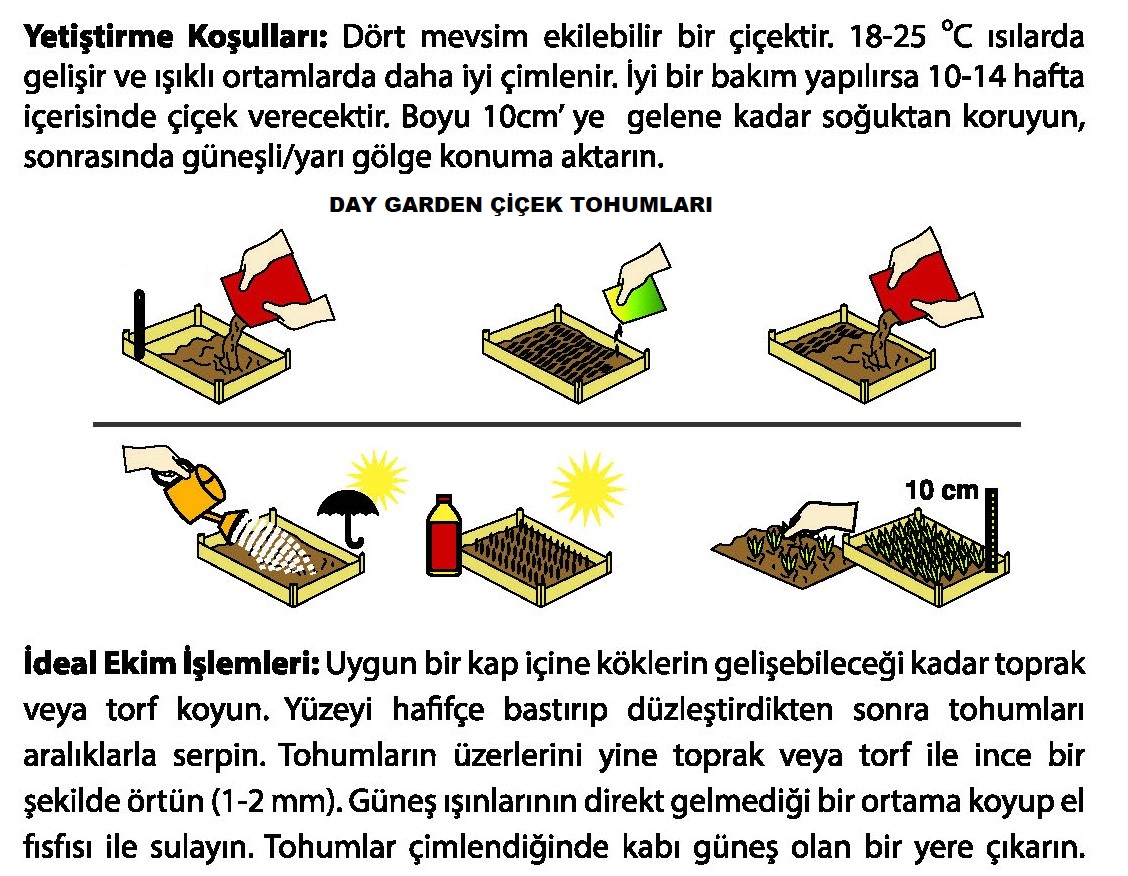 Iskelet Modeli Fiyatlari Ve Cesitleri Hepsiburada