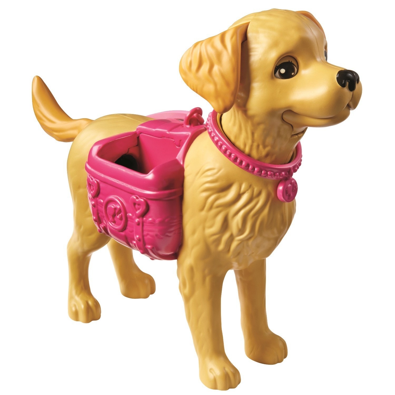 Barbie'nin Köpeği Tuvalet Eğitimi