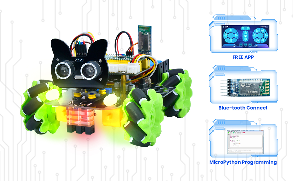 pi pico robotu