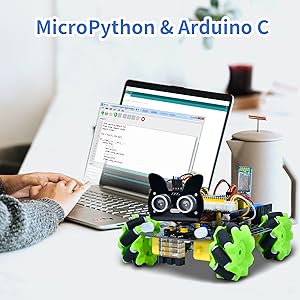 ahududu pico robotu