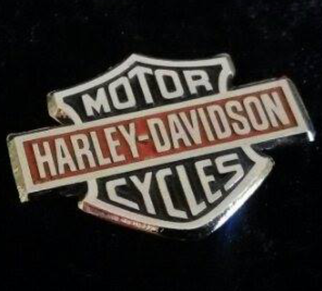 Harley rozet pin 1Motorcu rozeti