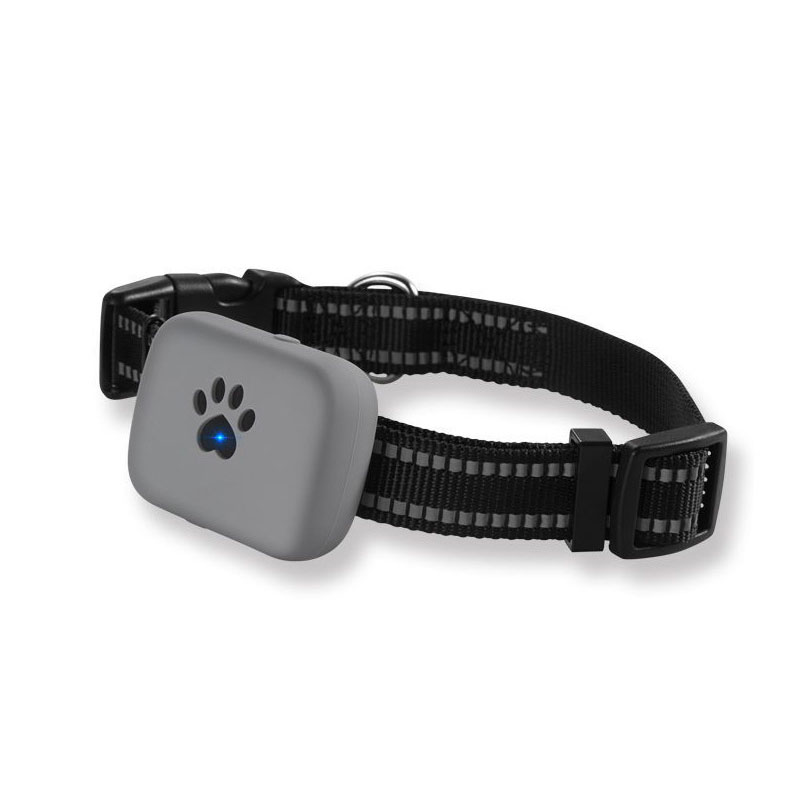 Sim Kartlı Köpek Takip Cihazı + Tasma Hediyeli  GPS Köpek Takip