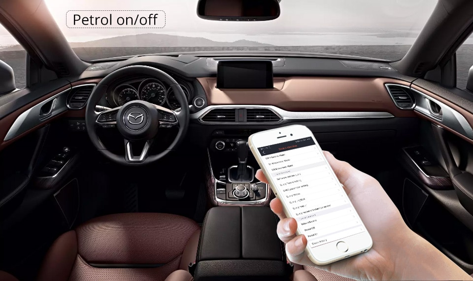 function petrol onoff