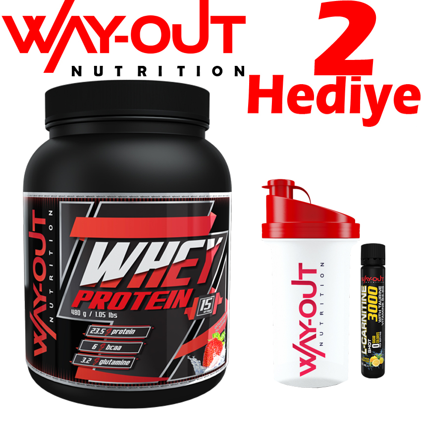 Way-Out Nutrition Whey Protein Tozu 480 Gr. 15 Servis